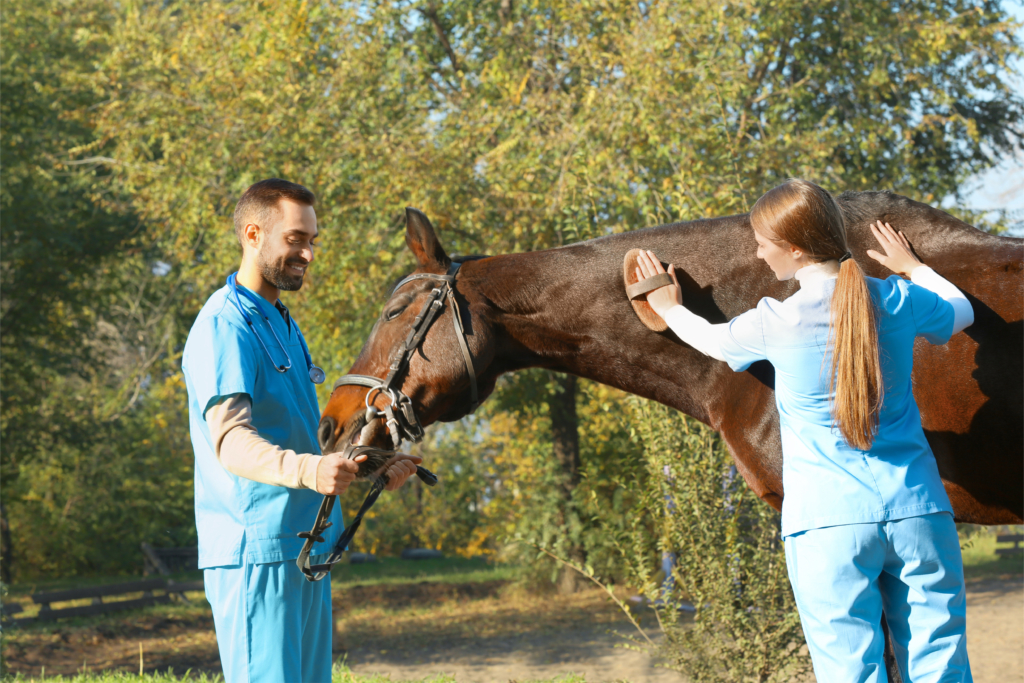 shutterstock_1247288887